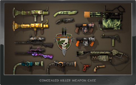 concealed_killer_case (1)